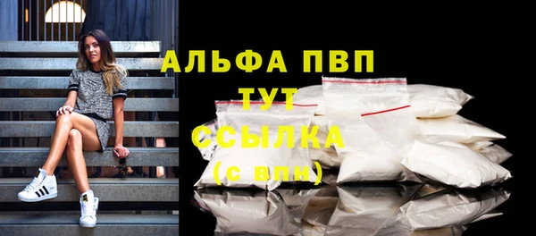 ПСИЛОЦИБИНОВЫЕ ГРИБЫ Михайловка