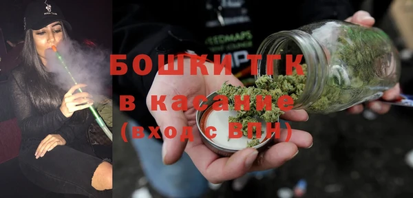 индика Михайлов