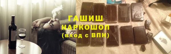 индика Михайлов