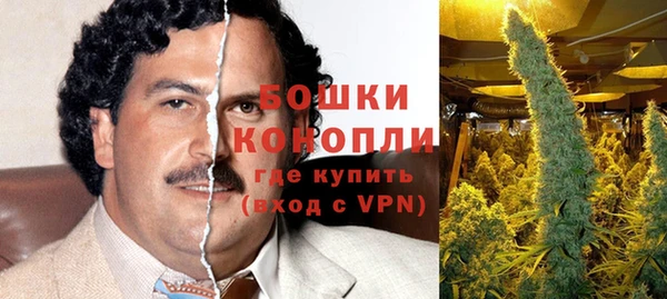 ПСИЛОЦИБИНОВЫЕ ГРИБЫ Михайловка