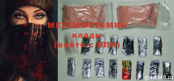 индика Михайлов