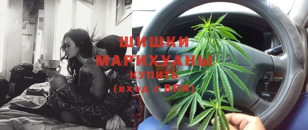 индика Абаза