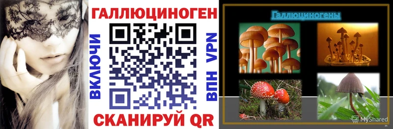 Галлюциногенные грибы Cubensis  Усть-Лабинск 