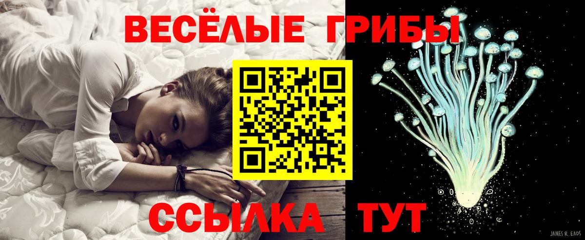 Галлюциногенные грибы мухоморы Усть-Лабинск